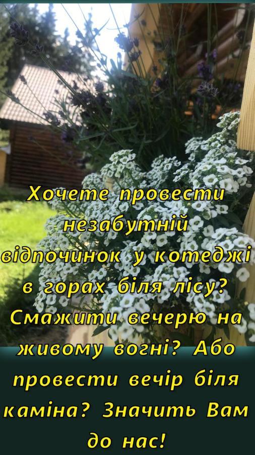 בוקובל Cottage Karinka מראה חיצוני תמונה